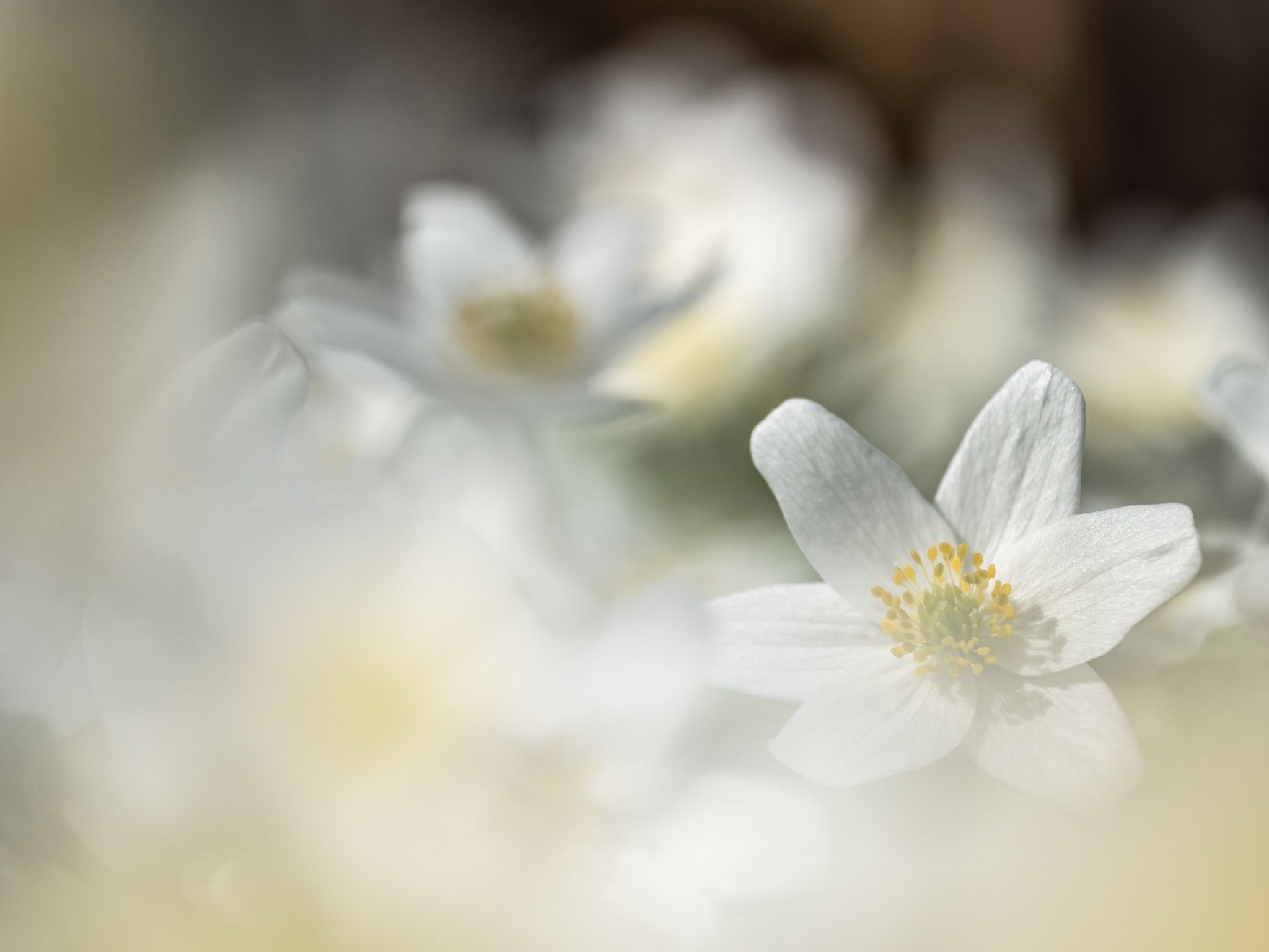 122 260422 1530 J  2JR0481 DxO DeepPRIME 3